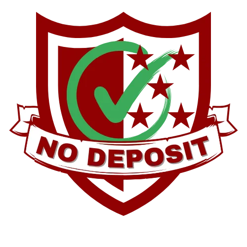 No Deposit For Driveway Services in Saltney