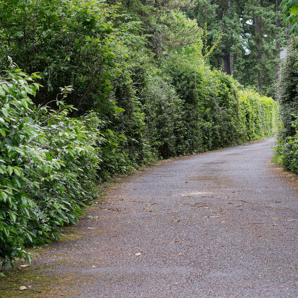 Quality Tarmaced Driveway by WCD Saltney driveway company